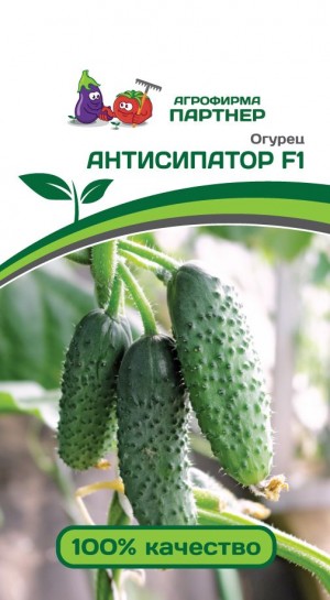 Огурец Антисипатор F1 5 семян